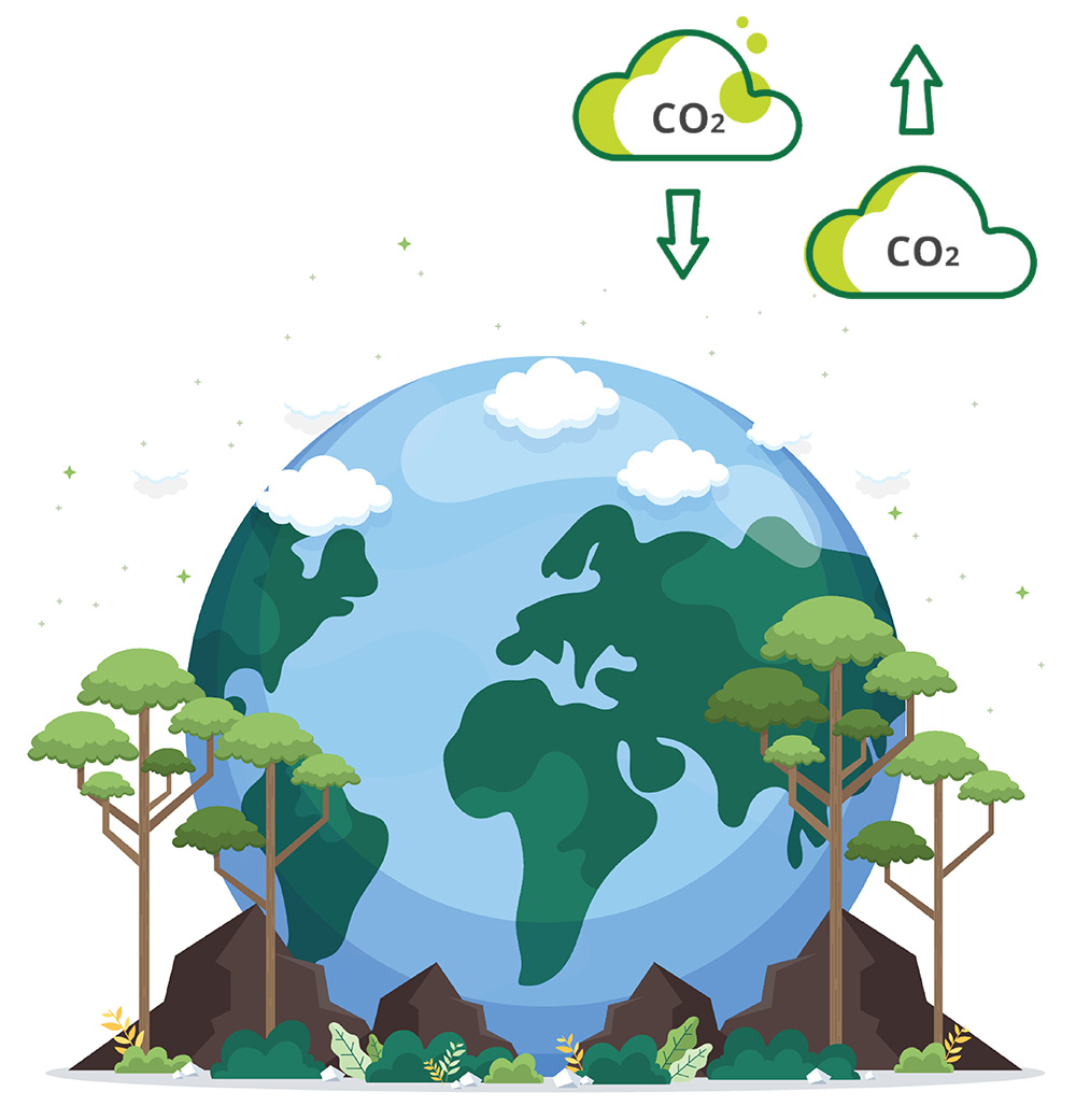 Carbon Credits Consulting & Its Planet Focused Dedication